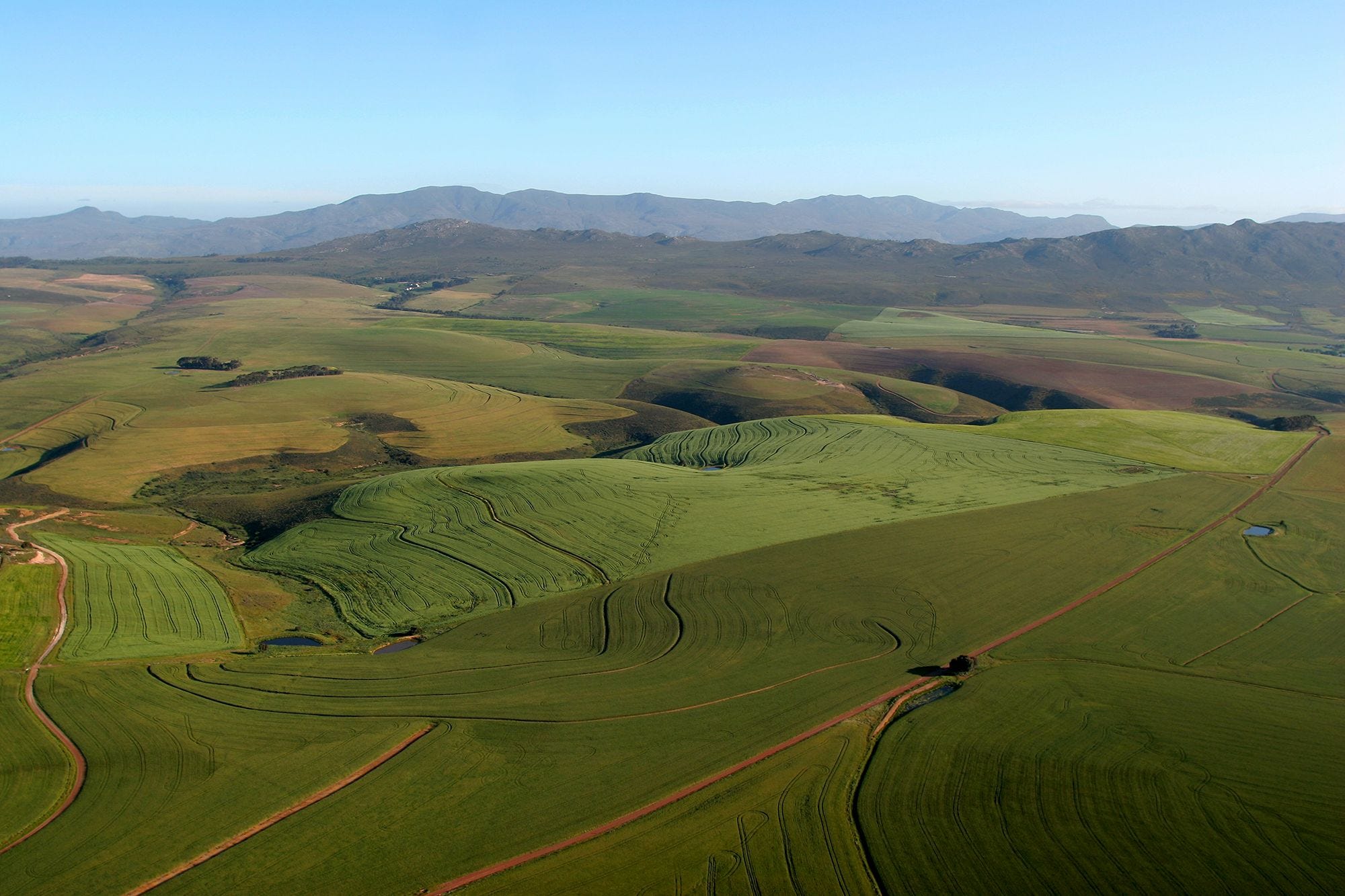 Aerial view of expansive green agricultural farmland